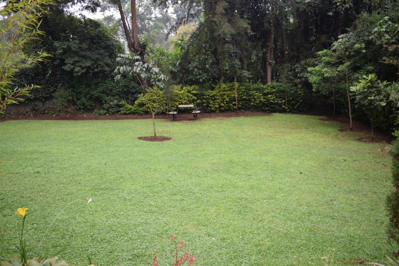 Green lawn surrounded by trees with an outdoor picnic table